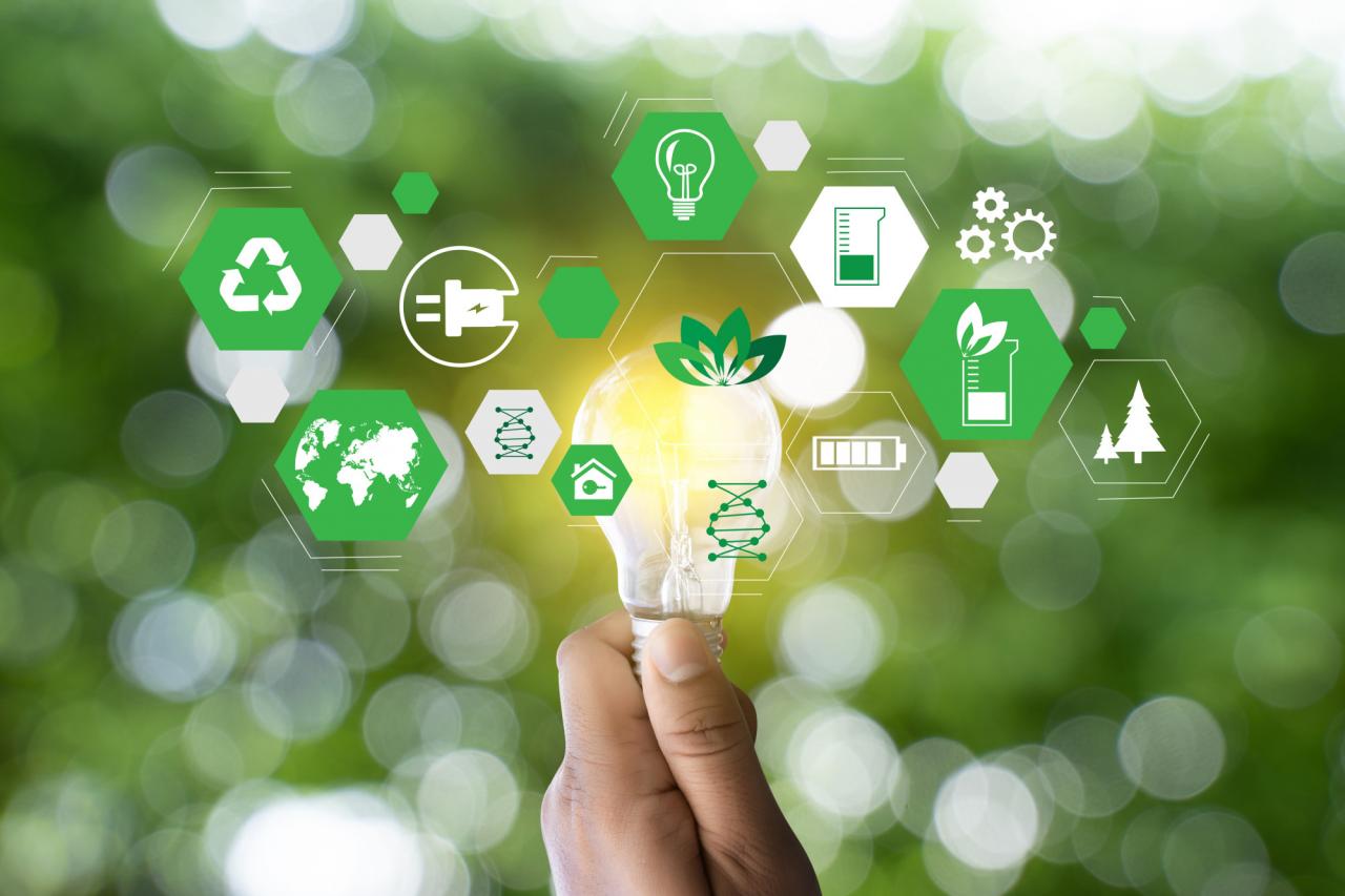 Technology’s Sustainability Shift Grows A Green Revolution