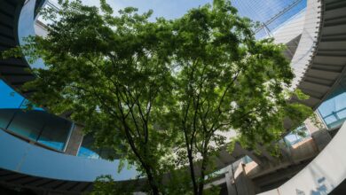 a circular building with a tree in front of it