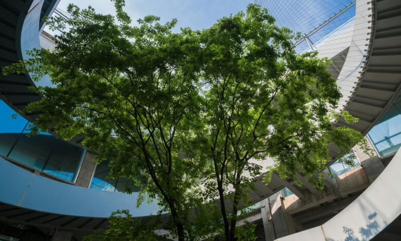 a circular building with a tree in front of it