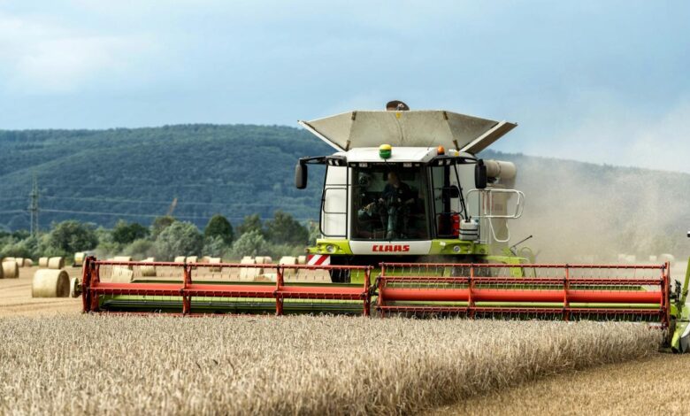 A combine of grain being harvested in a field
